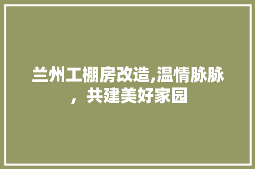 兰州工棚房改造,温情脉脉，共建美好家园