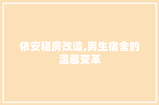 依安租房改造,男生宿舍的温馨变革