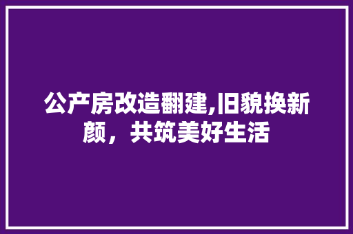 公产房改造翻建,旧貌换新颜，共筑美好生活