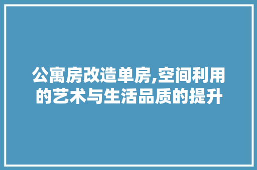 公寓房改造单房,空间利用的艺术与生活品质的提升