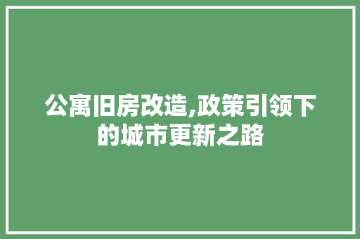 公寓旧房改造,政策引领下的城市更新之路