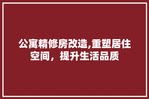 公寓精修房改造,重塑居住空间，提升生活品质 隔断设计