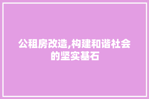 公租房改造,构建和谐社会的坚实基石