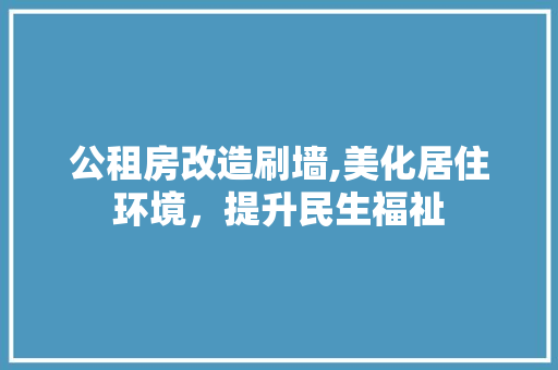 公租房改造刷墙,美化居住环境，提升民生福祉