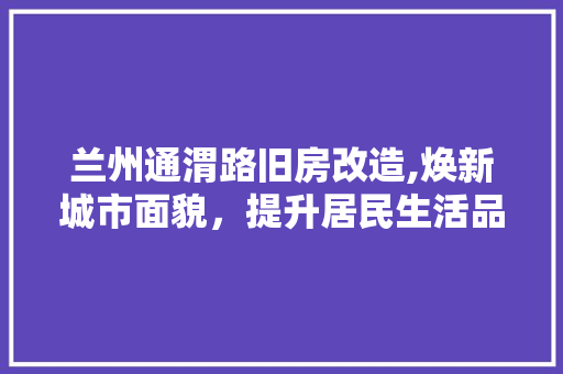 兰州通渭路旧房改造,焕新城市面貌，提升居民生活品质