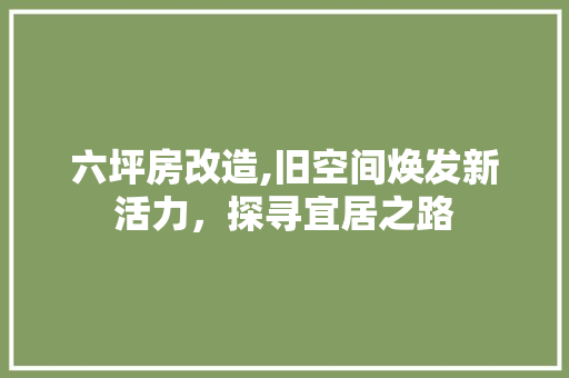 六坪房改造,旧空间焕发新活力，探寻宜居之路
