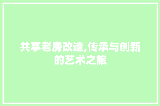 共享老房改造,传承与创新的艺术之旅