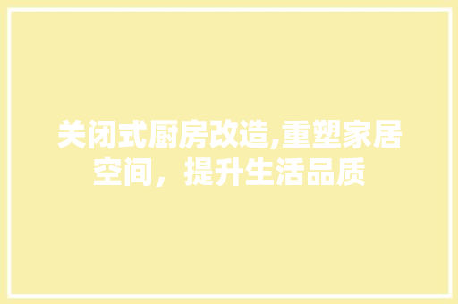 关闭式厨房改造,重塑家居空间，提升生活品质
