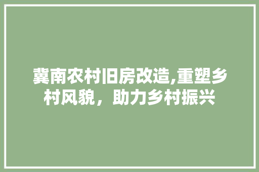 冀南农村旧房改造,重塑乡村风貌，助力乡村振兴