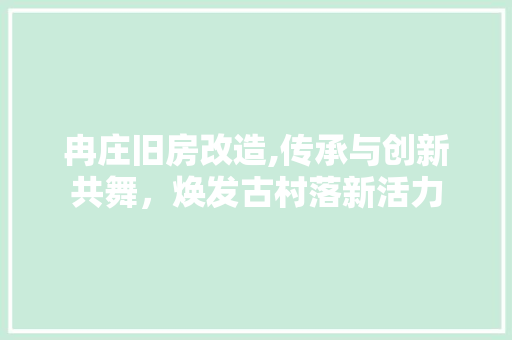 冉庄旧房改造,传承与创新共舞，焕发古村落新活力