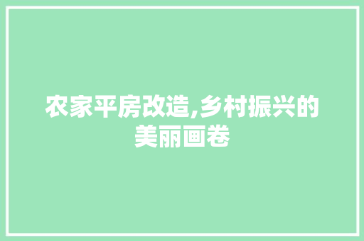 农家平房改造,乡村振兴的美丽画卷