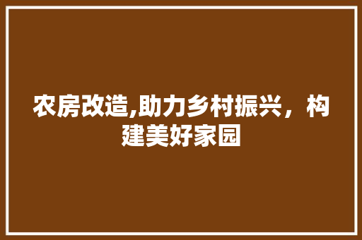 农房改造,助力乡村振兴，构建美好家园
