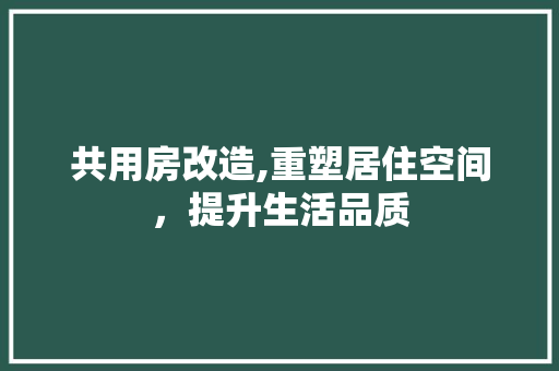 共用房改造,重塑居住空间，提升生活品质