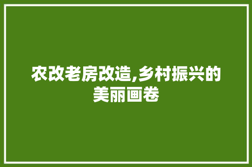 农改老房改造,乡村振兴的美丽画卷