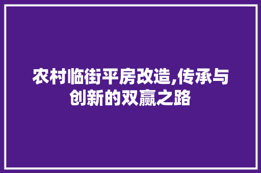 农村临街平房改造,传承与创新的双赢之路