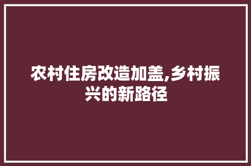 农村住房改造加盖,乡村振兴的新路径