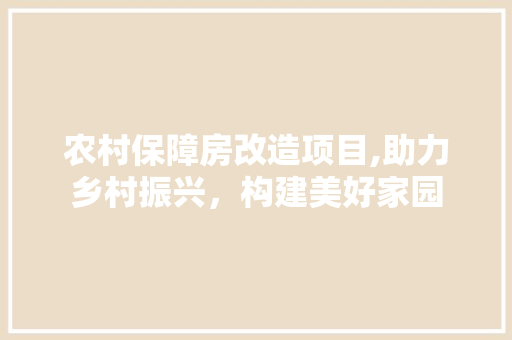农村保障房改造项目,助力乡村振兴，构建美好家园