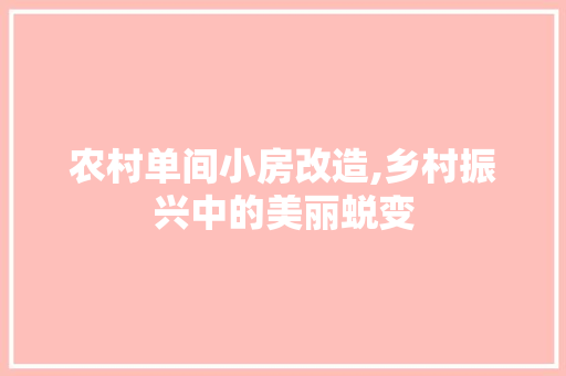 农村单间小房改造,乡村振兴中的美丽蜕变