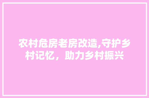 农村危房老房改造,守护乡村记忆，助力乡村振兴