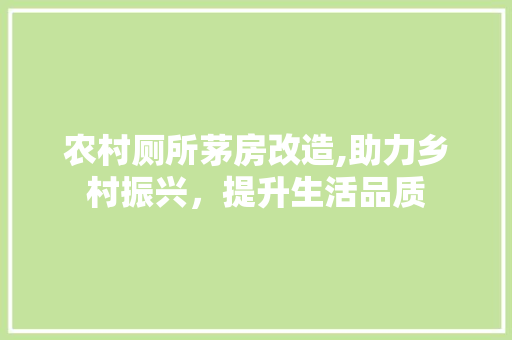 农村厕所茅房改造,助力乡村振兴，提升生活品质