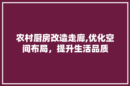 农村厨房改造走廊,优化空间布局，提升生活品质