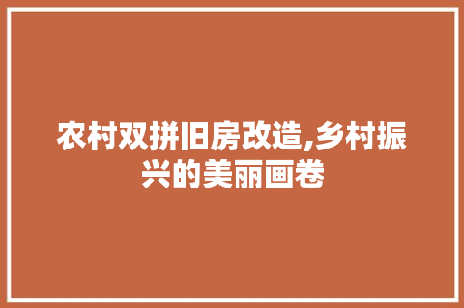 农村双拼旧房改造,乡村振兴的美丽画卷