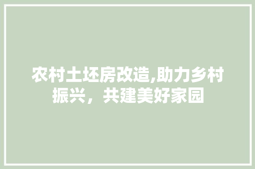 农村土坯房改造,助力乡村振兴，共建美好家园