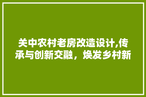 关中农村老房改造设计,传承与创新交融，焕发乡村新活力