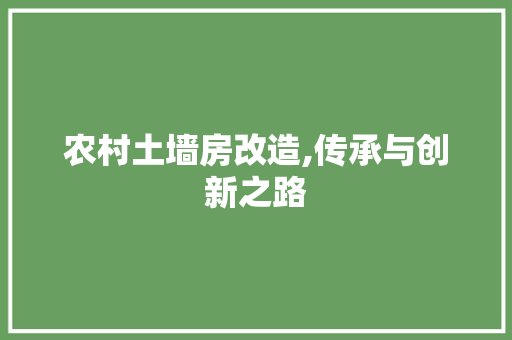 农村土墙房改造,传承与创新之路 隔断设计