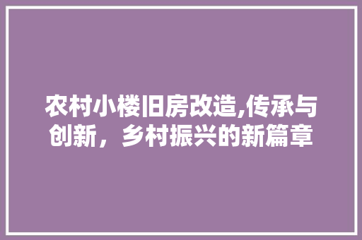 农村小楼旧房改造,传承与创新，乡村振兴的新篇章