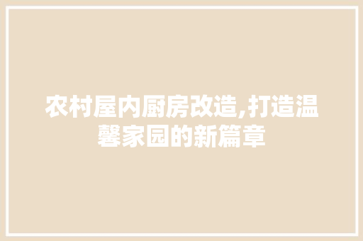 农村屋内厨房改造,打造温馨家园的新篇章