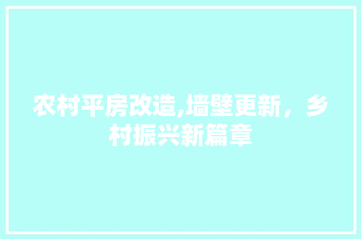 农村平房改造,墙壁更新，乡村振兴新篇章
