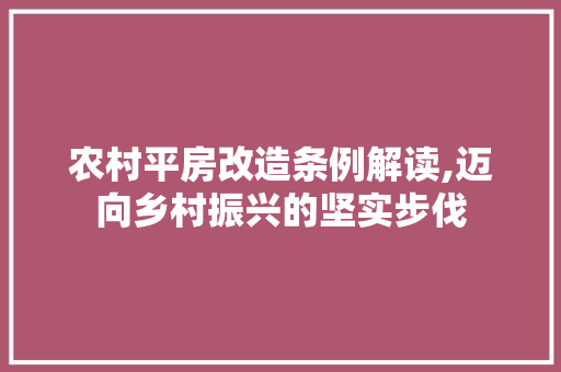 农村平房改造条例解读,迈向乡村振兴的坚实步伐