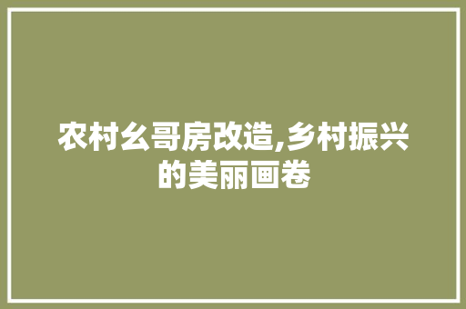 农村幺哥房改造,乡村振兴的美丽画卷