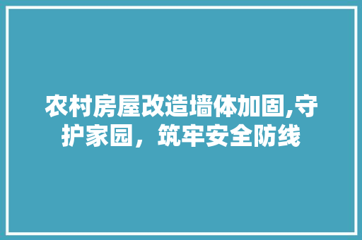 农村房屋改造墙体加固,守护家园，筑牢安全防线