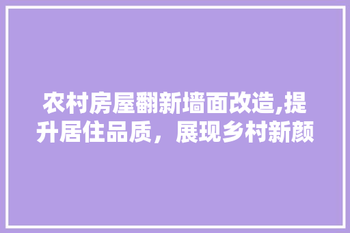 农村房屋翻新墙面改造,提升居住品质，展现乡村新颜