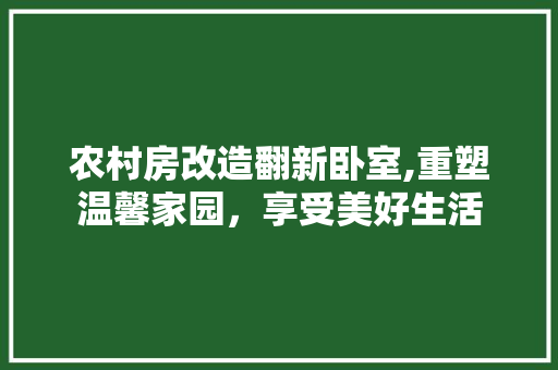 农村房改造翻新卧室,重塑温馨家园，享受美好生活