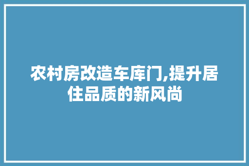 农村房改造车库门,提升居住品质的新风尚