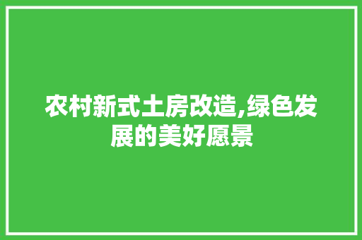 农村新式土房改造,绿色发展的美好愿景