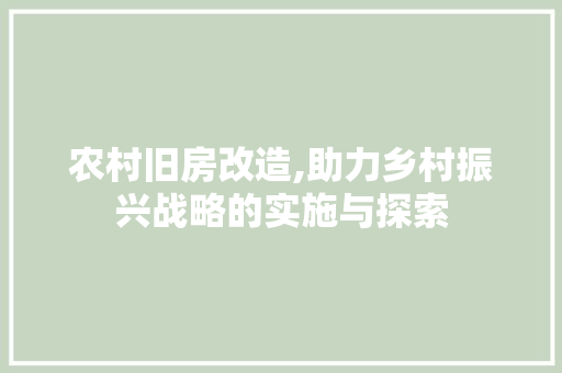 农村旧房改造,助力乡村振兴战略的实施与探索 墙面装饰