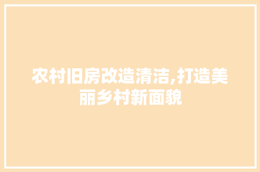 农村旧房改造清洁,打造美丽乡村新面貌