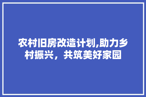 农村旧房改造计划,助力乡村振兴，共筑美好家园