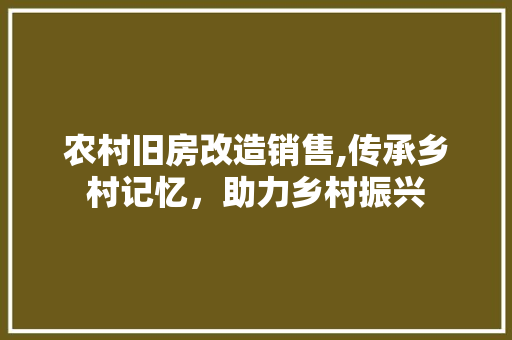 农村旧房改造销售,传承乡村记忆，助力乡村振兴