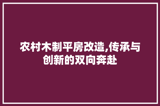 农村木制平房改造,传承与创新的双向奔赴 景观设计