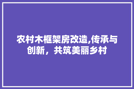 农村木框架房改造,传承与创新，共筑美丽乡村 建筑设计