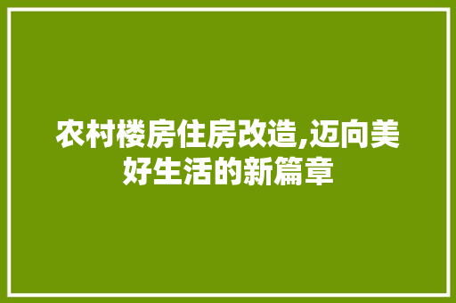 农村楼房住房改造,迈向美好生活的新篇章