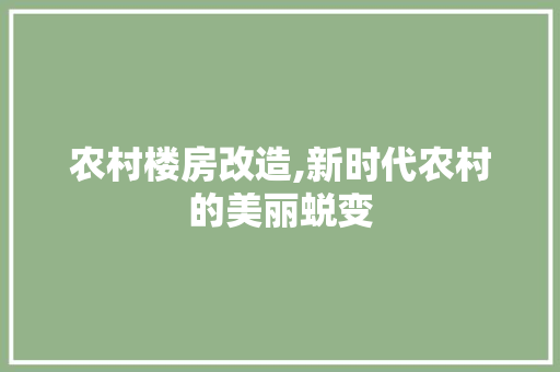 农村楼房改造,新时代农村的美丽蜕变