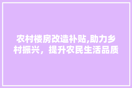 农村楼房改造补贴,助力乡村振兴，提升农民生活品质