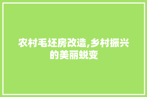 农村毛坯房改造,乡村振兴的美丽蜕变