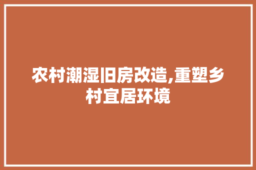 农村潮湿旧房改造,重塑乡村宜居环境